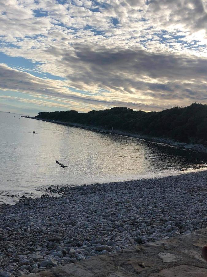 Apartmani Dokic Bale Bagian luar foto
